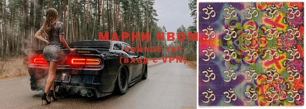 ГАЛЛЮЦИНОГЕННЫЕ ГРИБЫ Баксан