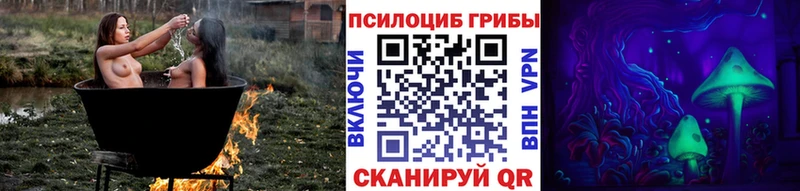 как найти закладки  Рудня  Галлюциногенные грибы ЛСД 
